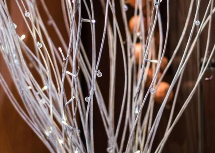 Bed & Breakfast Dacia Guiglia