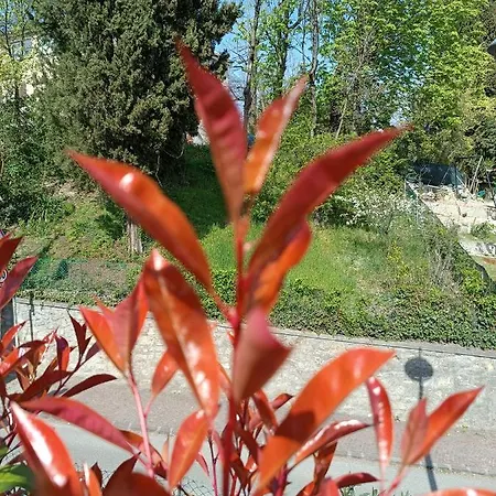 Bed & Breakfast Dacia 4*