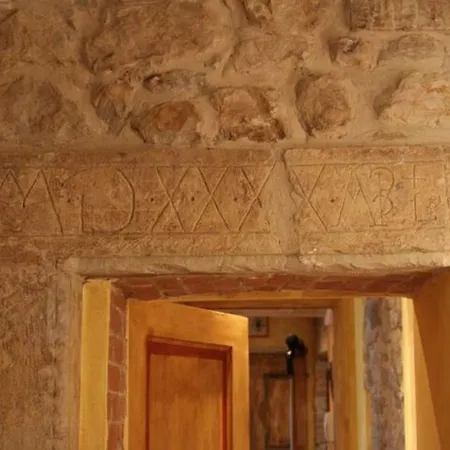 לינה וארוחת בוקר Dacia