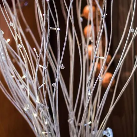 לינה וארוחת בוקר Dacia Guiglia