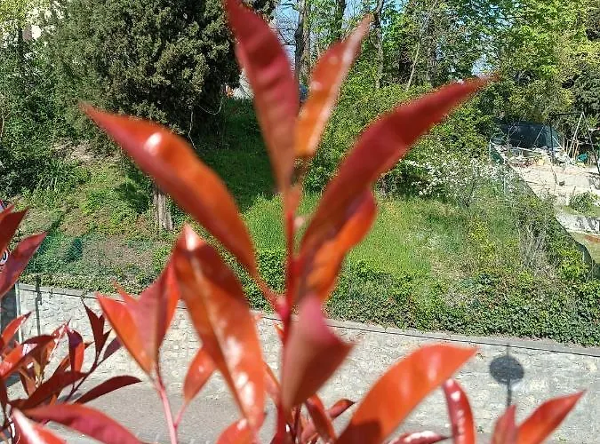 Bed & Breakfast Dacia 4*